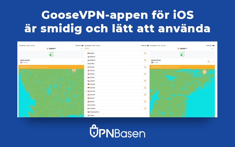 GooseVPN appen for iOS
