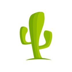 Cactus VPN png